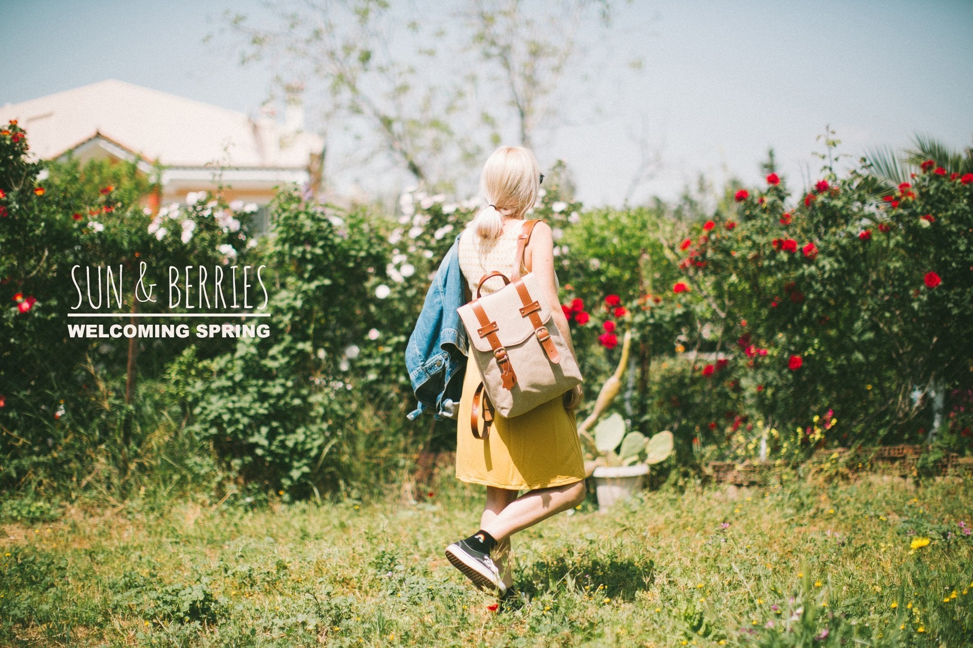 Sun & Berries