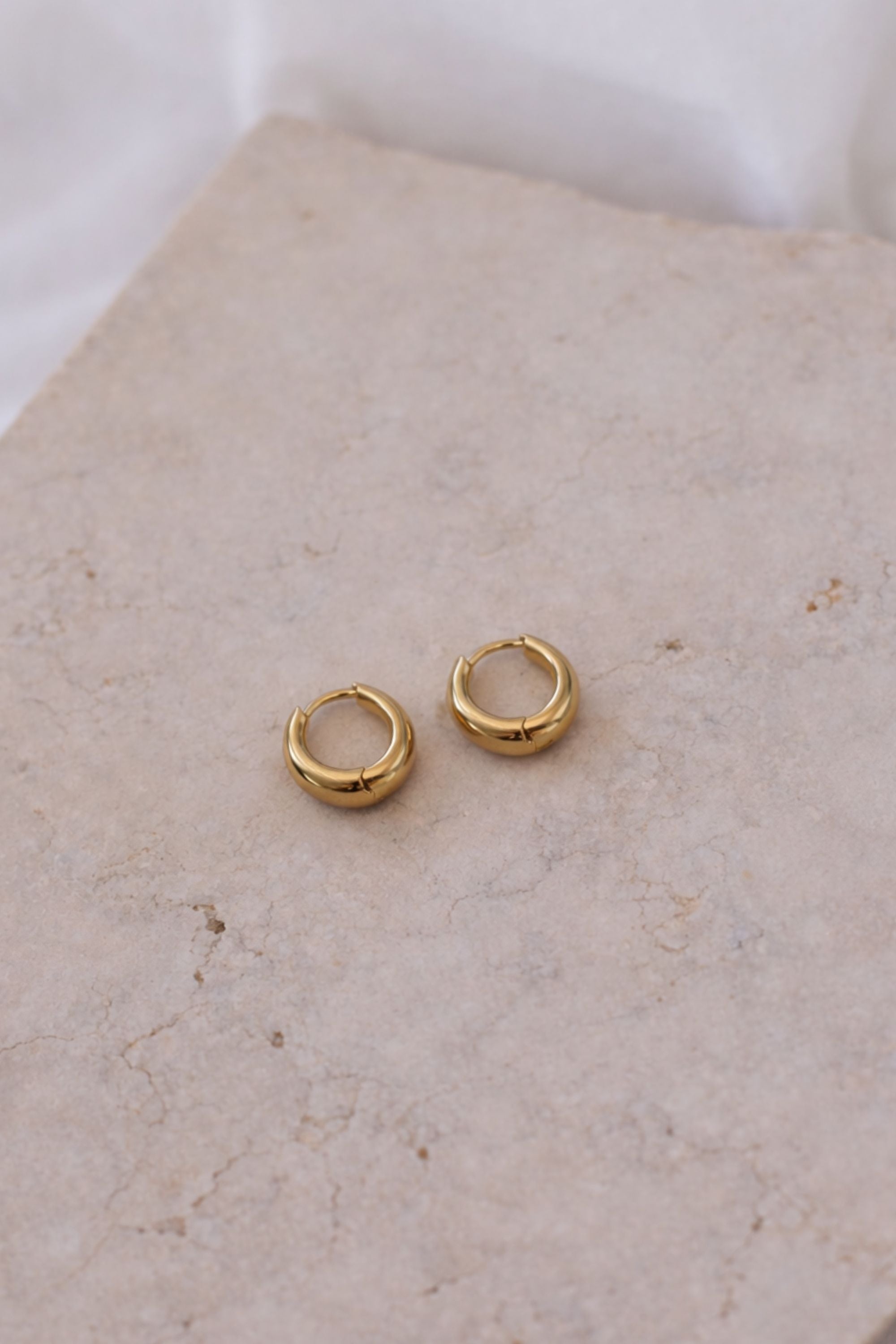 Earrings Circle Mini Gold