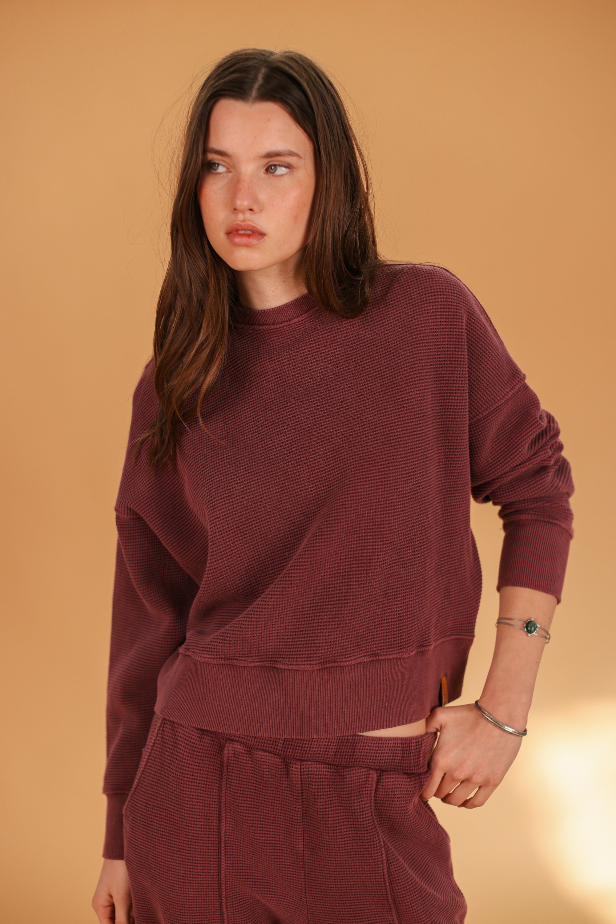 Sweater Aldina Stonewashed Plum