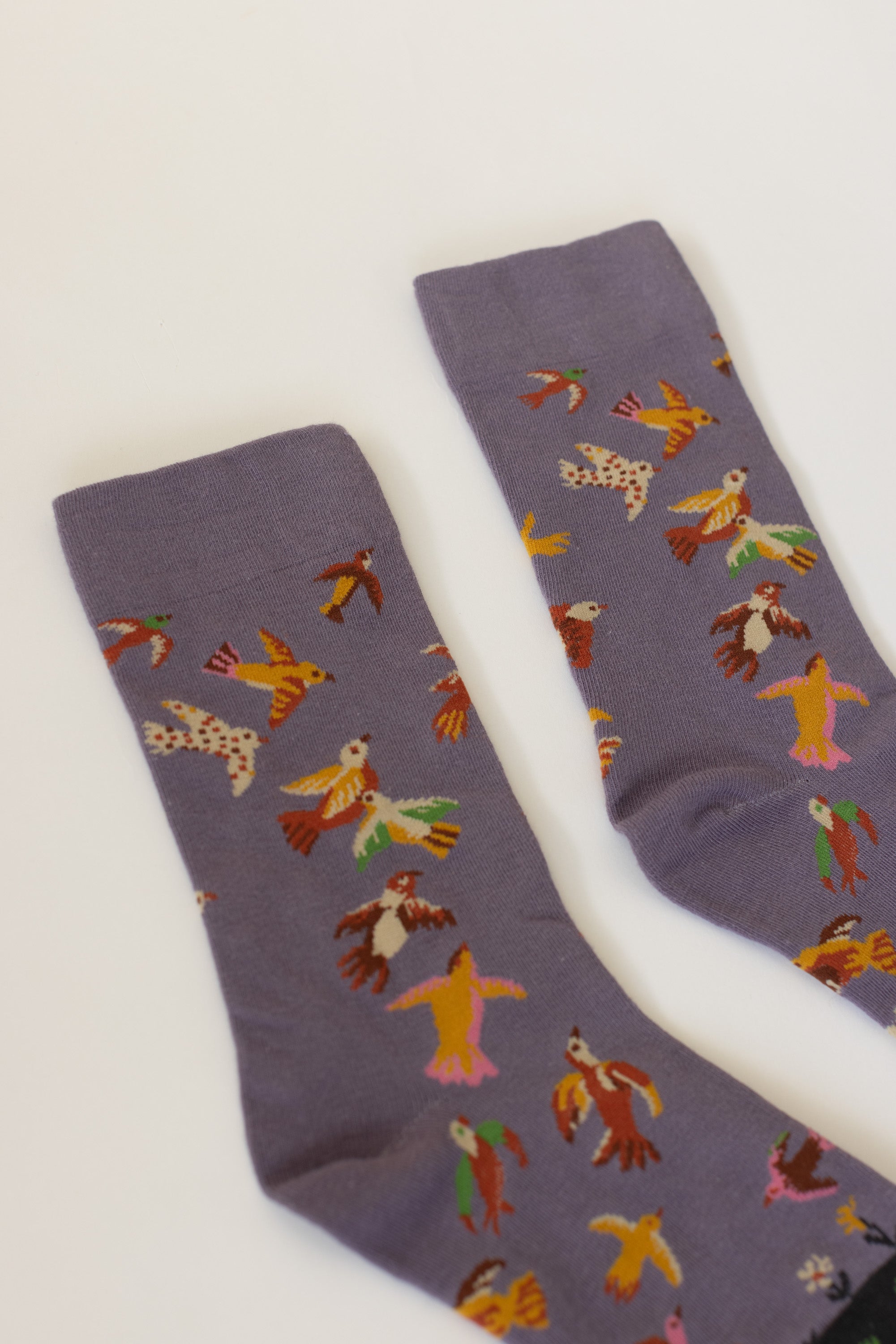 Socks Birdie Purple