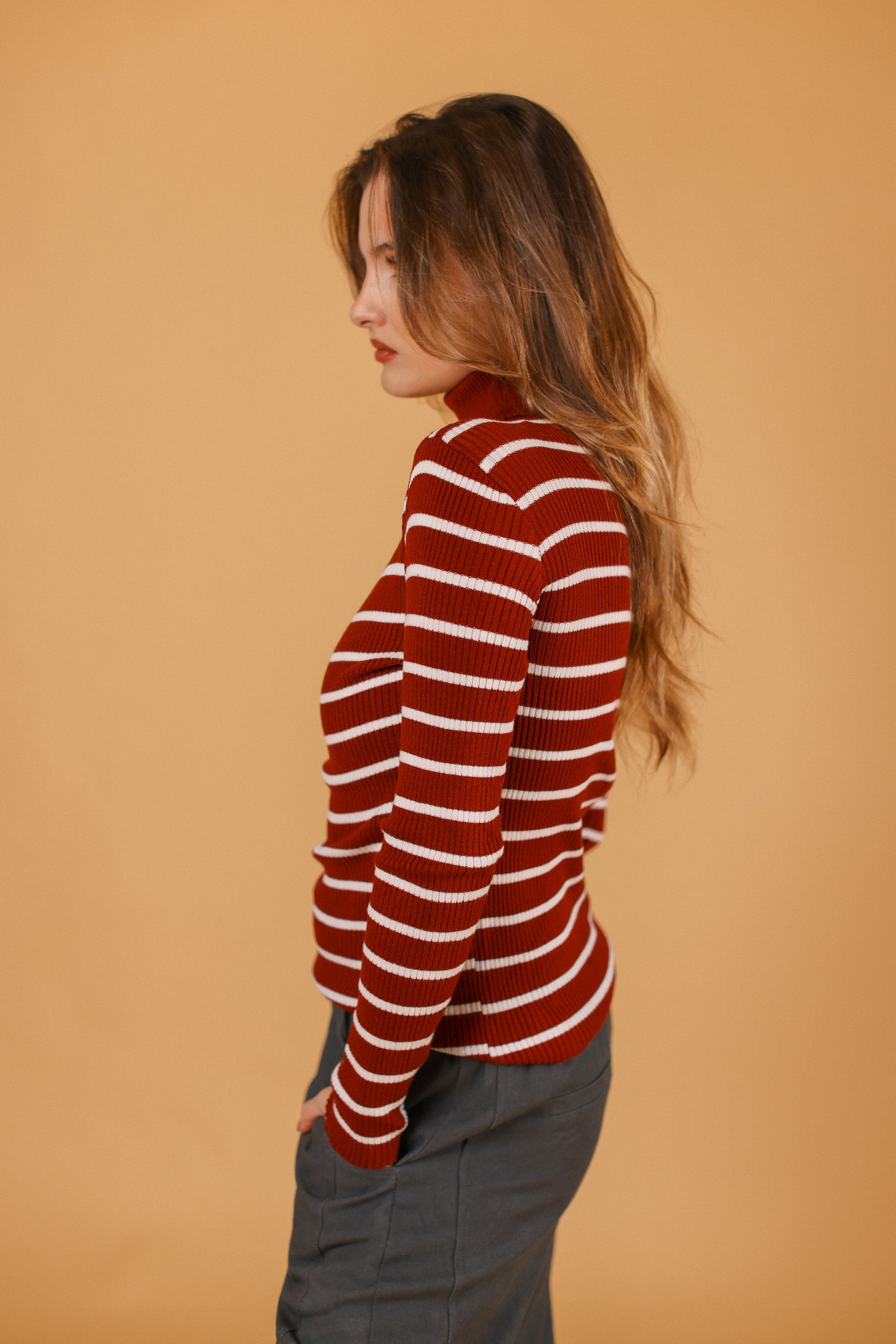 Knit Top Jesap Burgundy Stripes