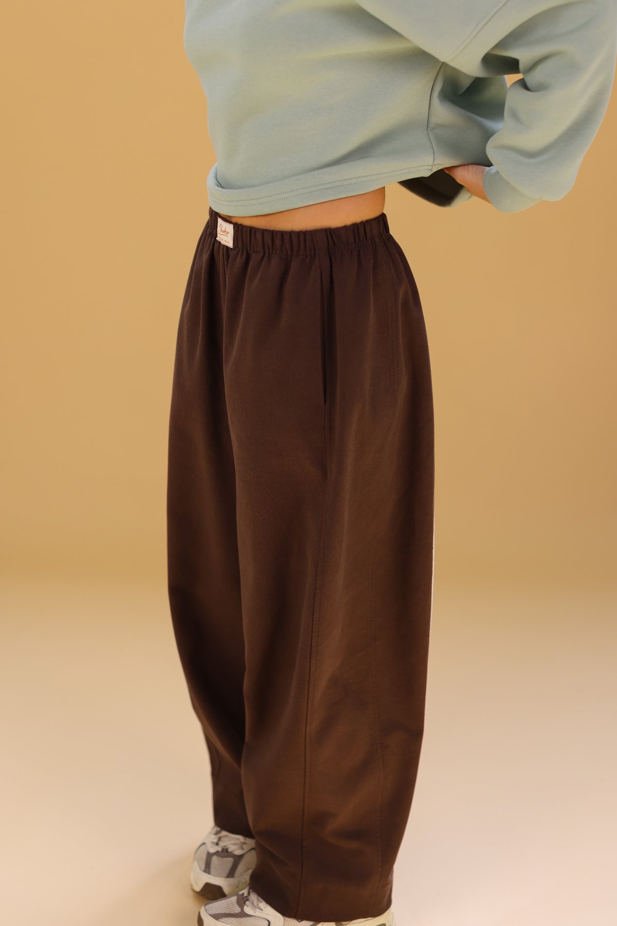 Trousers Dino Brown