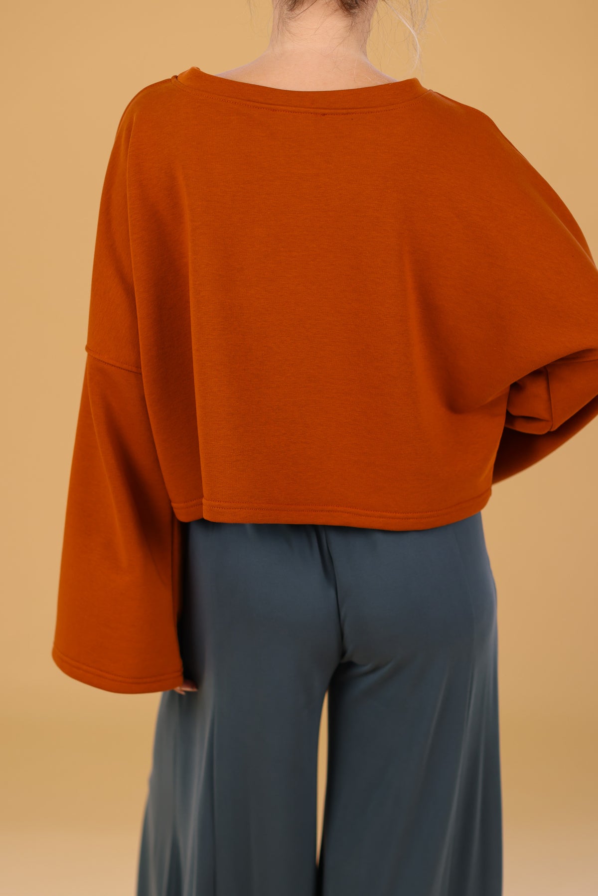 Sweatshirt Joe Terracotta