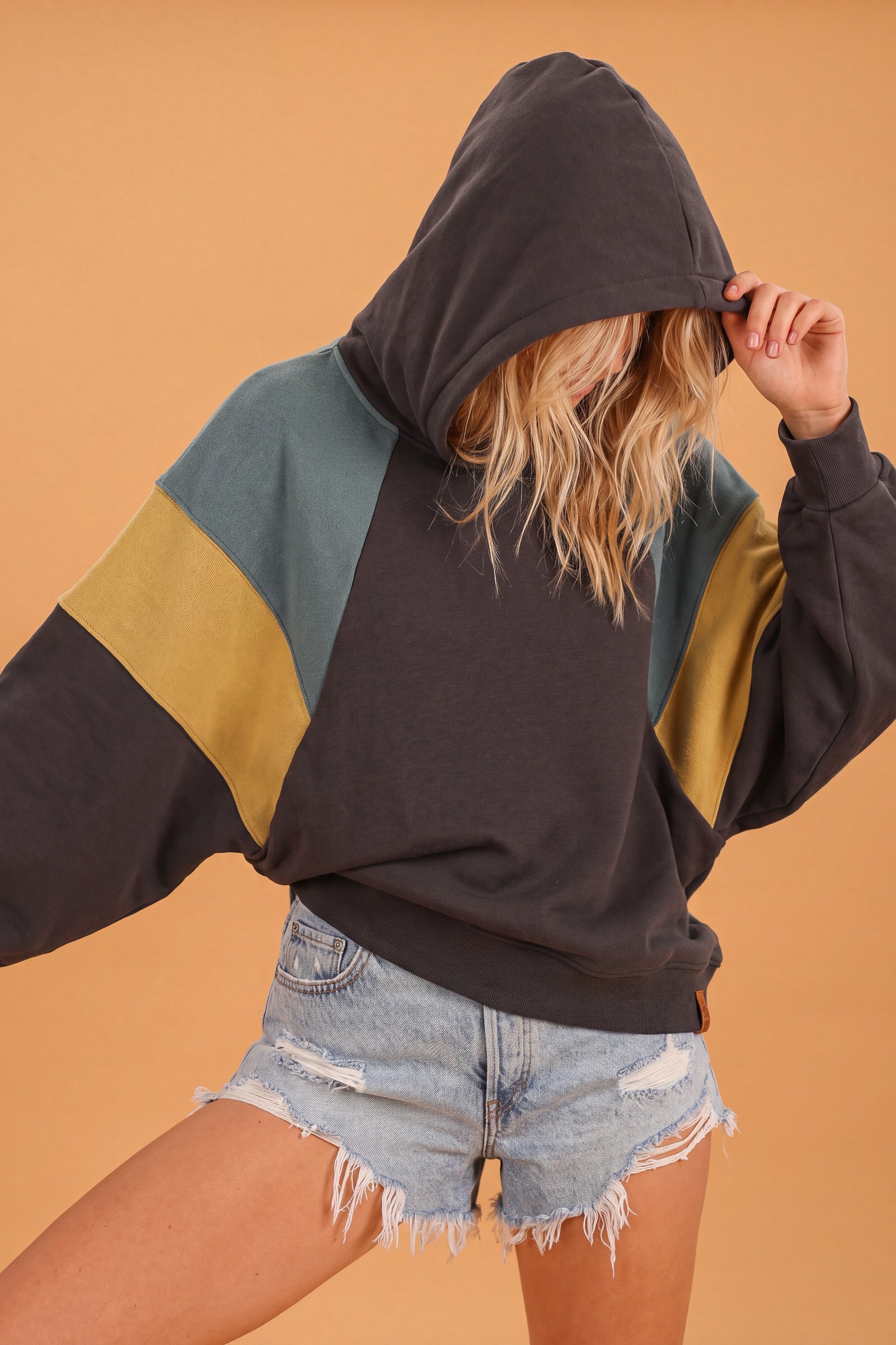 Hoodie Sweeney Grey