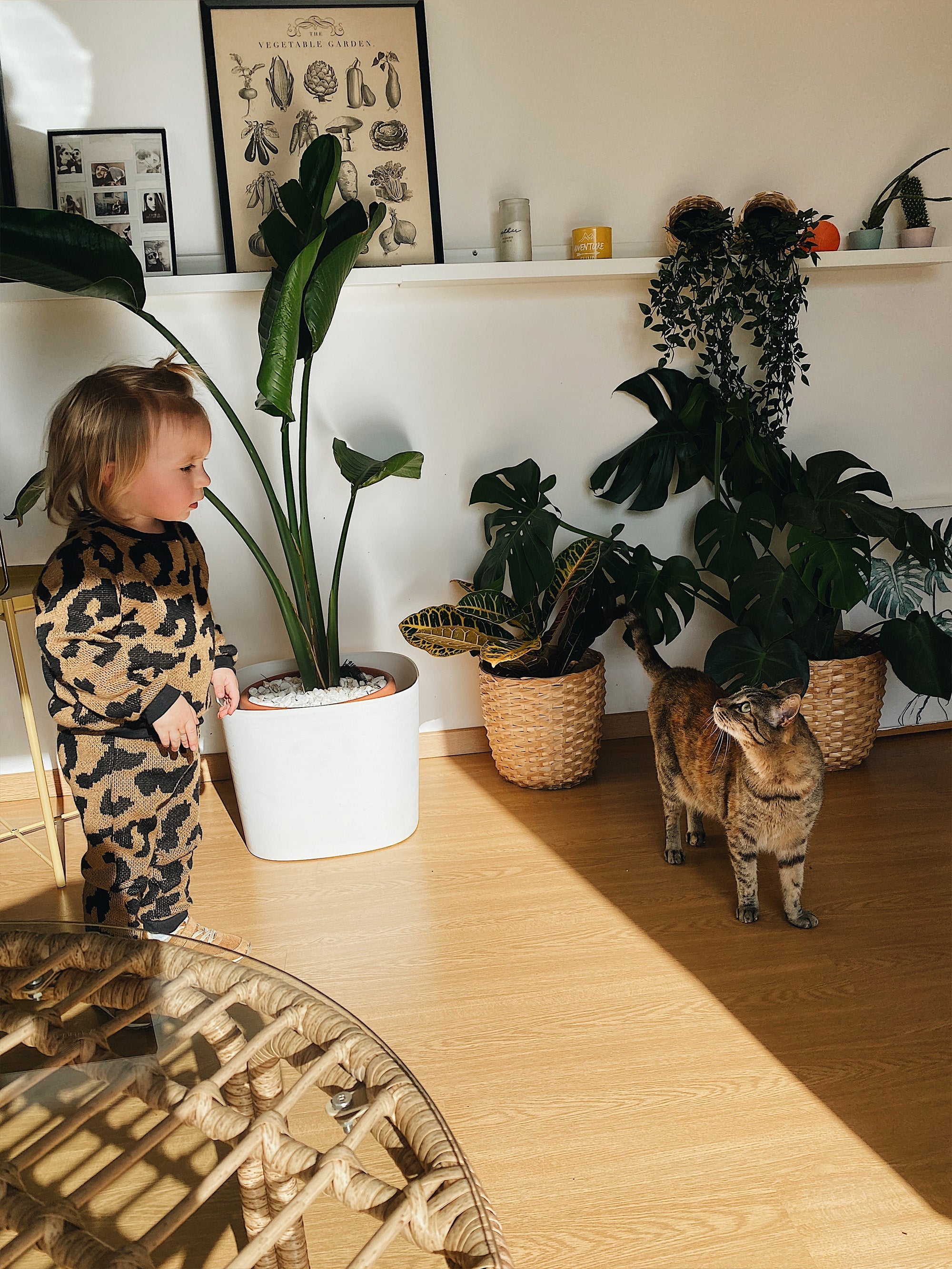 Kids Knit Jogger Leo