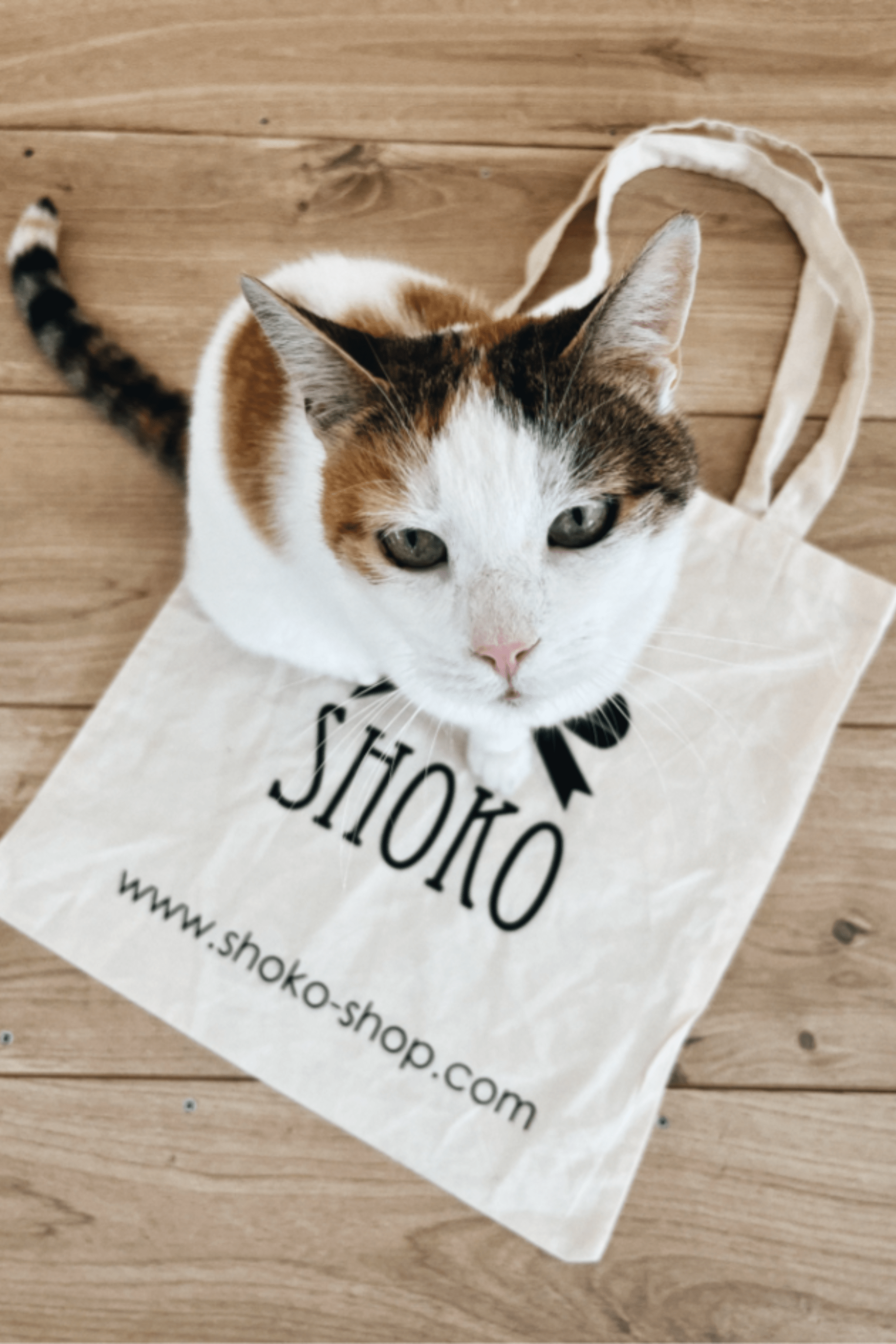 Shoko Tote Bag