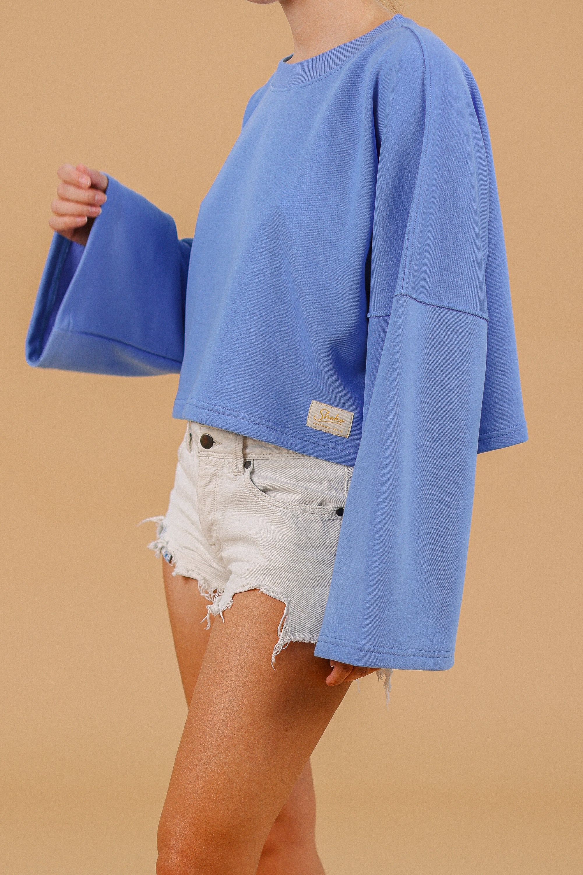 Sweatshirt Joe Blue