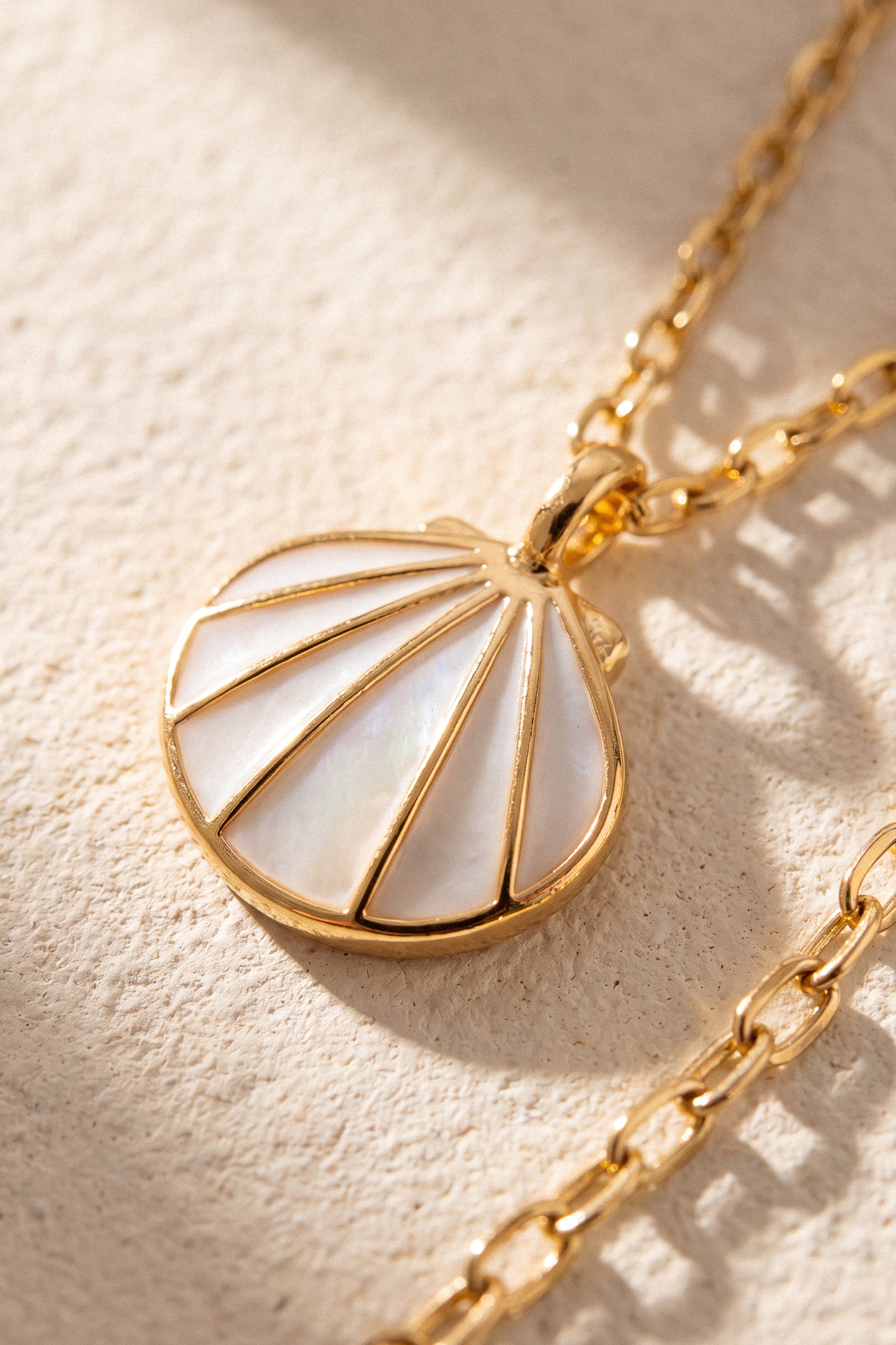 Necklace Shell Ivory