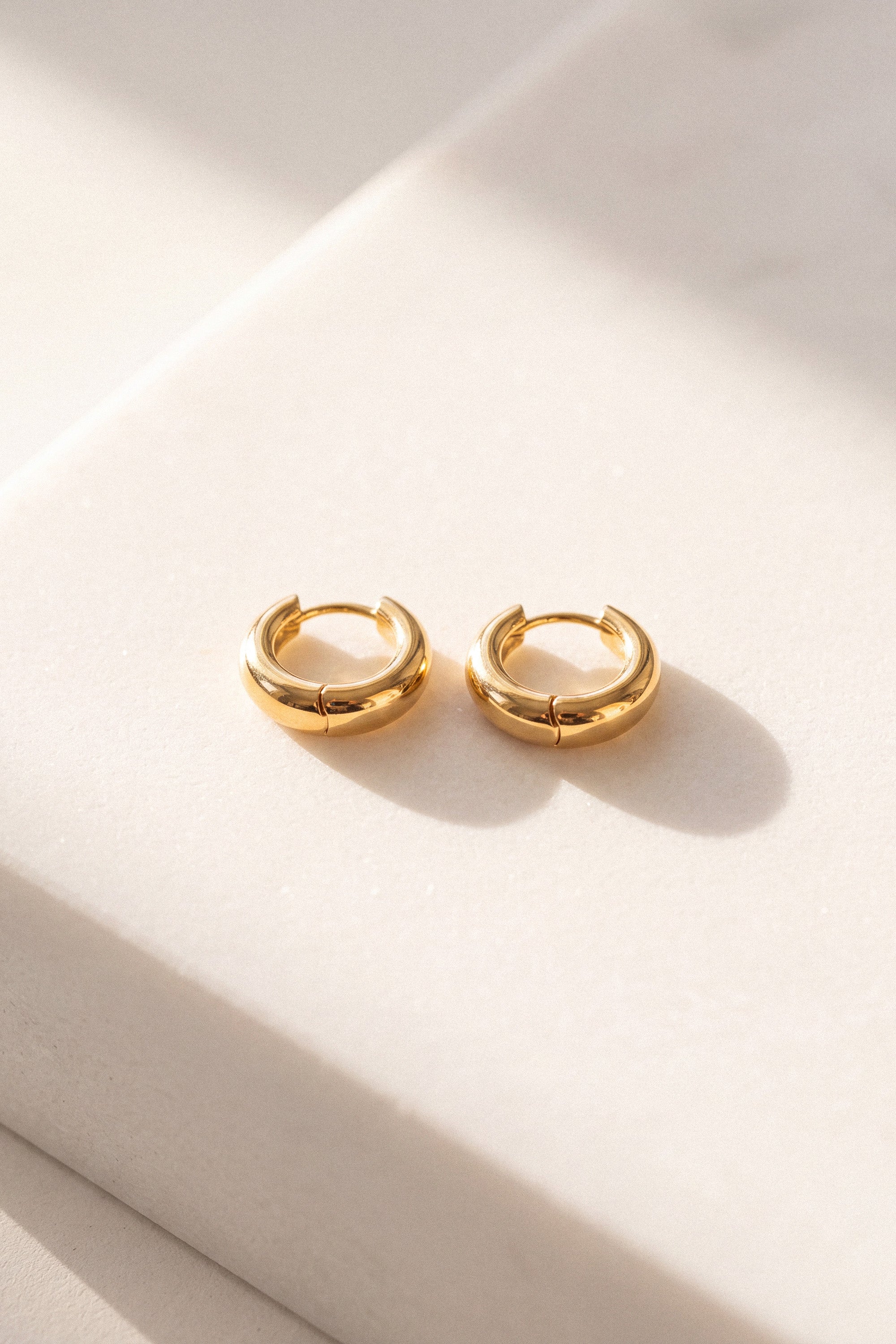 Earrings Circle Mini Gold