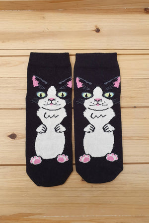 Socks Black Cats Onesize (35-39)